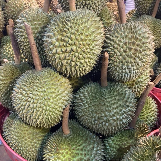 ทุเรียนก้านยาวคัดพิเศษ บรรจุอย่างประณีต พร้อมจัดส่งถึงบ้าน